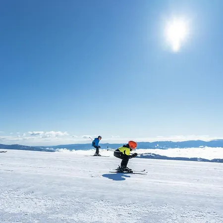 Otel Alpengasthof Hochegger 4*
