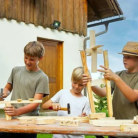 Hotel Alpengasthof Hochegger 4*
