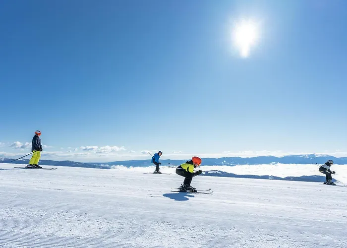 Hotel Alpengasthof Hochegger 4*